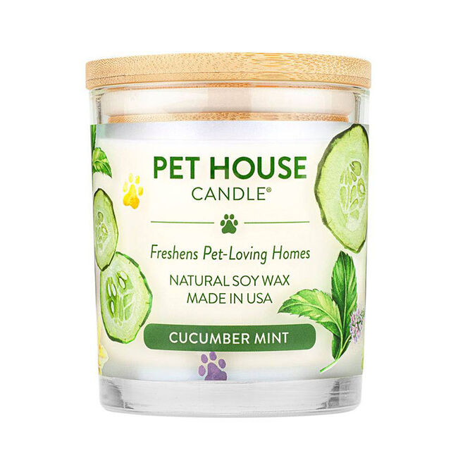 Pet House Candle Cucumber Mint Candle image number null