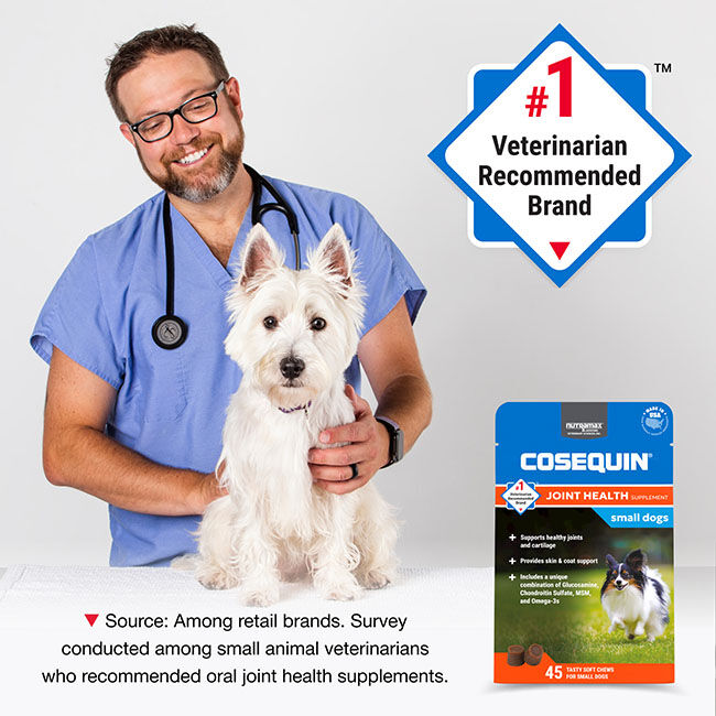Nutramax Cosequin for Small Dogs, Joint Health Supplement, Contains Glucosamine for Dogs, Plus Chondroitin, MSM and Omega-3s, Supports Joint and Skin and Coat Health, For Dogs Under 25 lbs., Soft Chews image number null