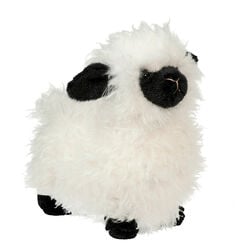 Douglas Shiloh the Sheep