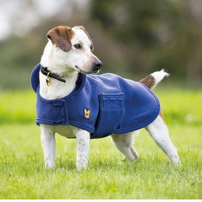 Ralph lauren dog jacket store
