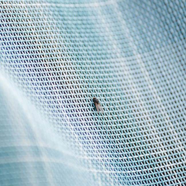 Horseware Newmarket Fly Mask - Witney Dynasty image number null