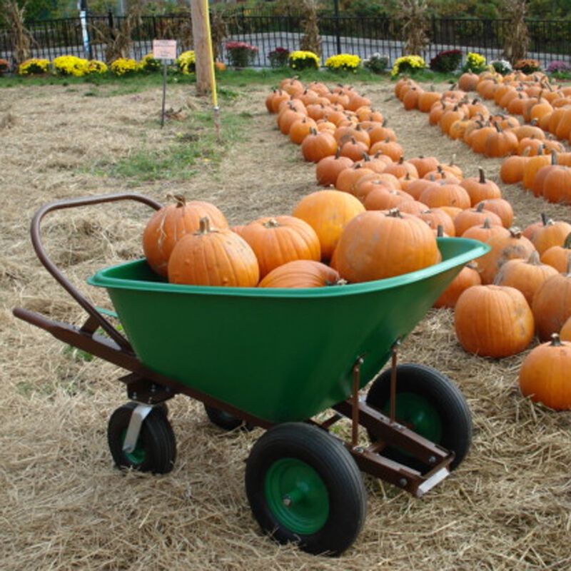 The real deals wheelbarrow