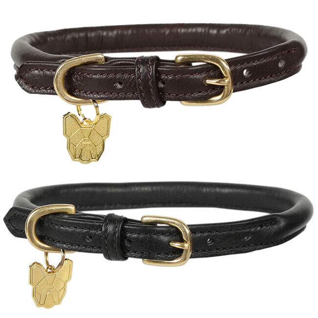 Shires Digby & Fox Rolled Leather Dog Collar image number null