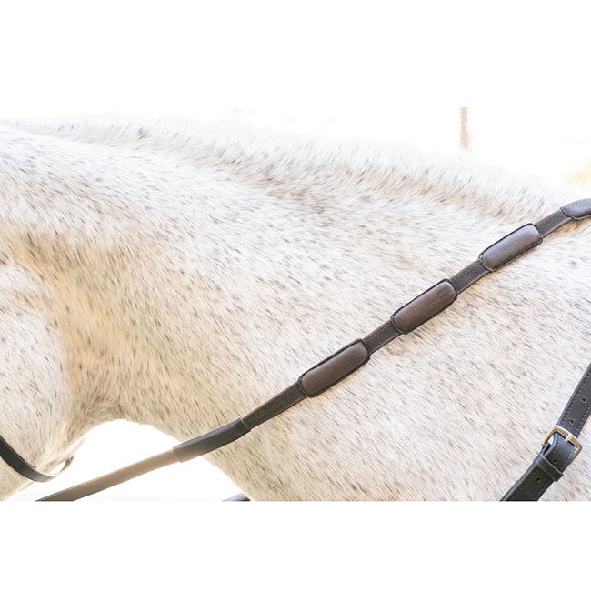 Correct Connect Comfort Connect Rein with Intermittent Padding image number null