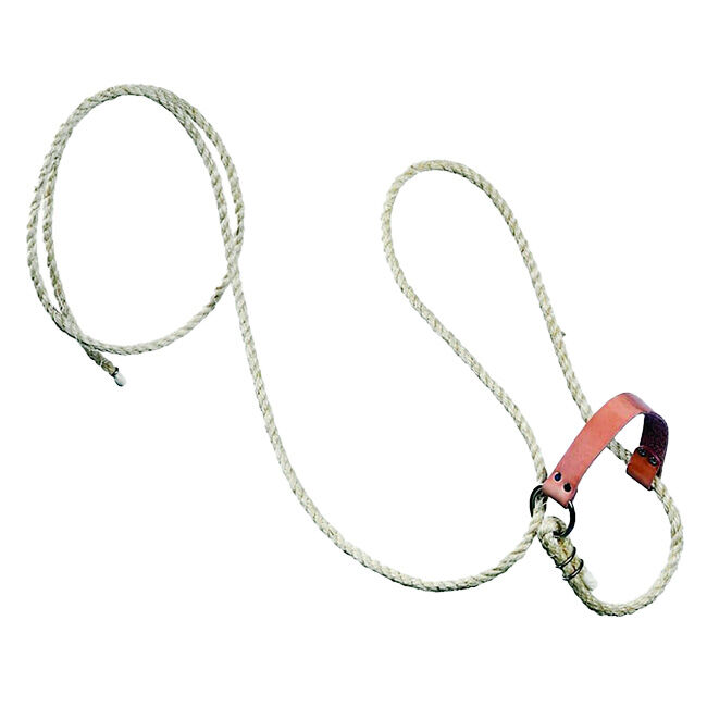 Beiler's Manufacturing Halter with Lead & Leather Nose Strap image number null