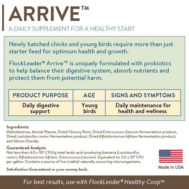 FlockLeader Arrive - Daily Probiotic + Prebiotic Water Supplement for Young Chickens - 8 oz image number null