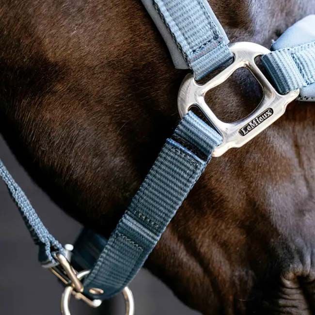 LeMieux Vogue Breakaway Halter - Ice Blue image number null