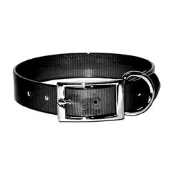 OmniPet SunGlo Collar with D-Ring - Black