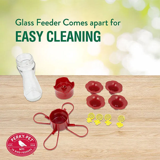 Perky-Pet Pinch-Waist Glass Hummingbird Feeder - Clear - 8 oz image number null