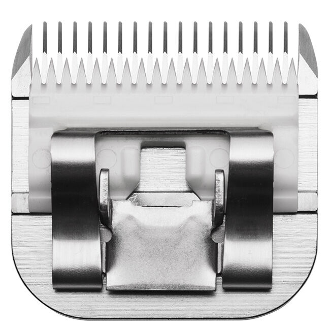 A72620-1.jpg image number null