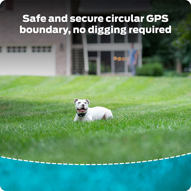 Premier Pet GPS Dog Fence with Circular Wireless Boundary image number null