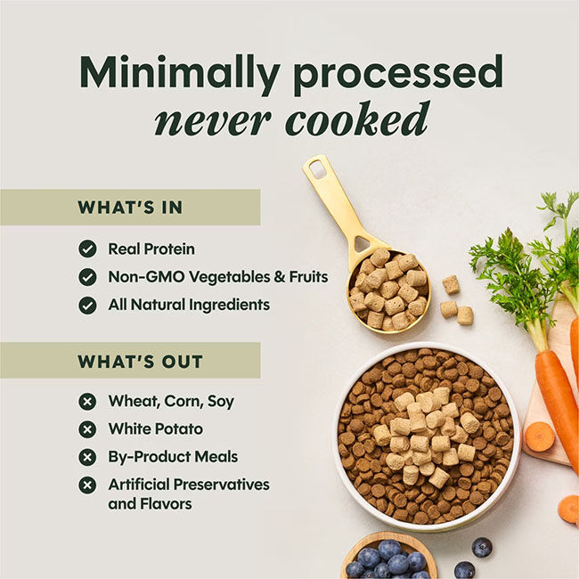 Instinct Raw Boost Mixers for Dogs - Beef Recipe image number null