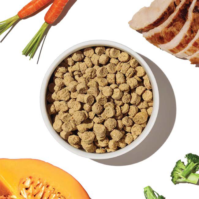 The Honest Kitchen Grain-Free Whole Food Clusters Dog Food - Chicken Recipe image number null