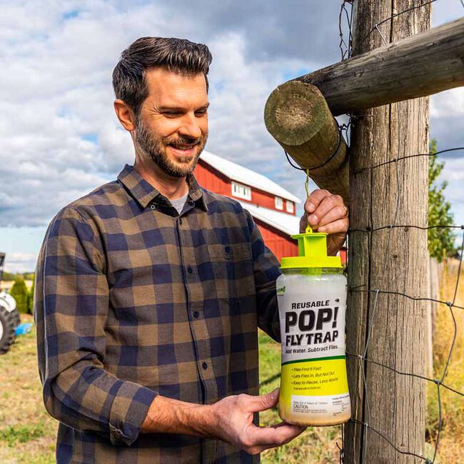 RESCUE! POP! Fly Trap Refill - Single image number null