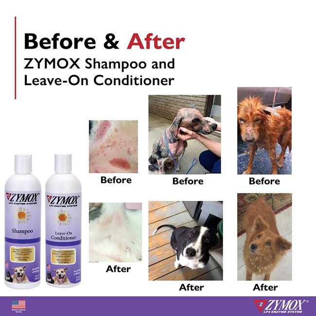 ZYMOX Shampoo - 12 oz image number null