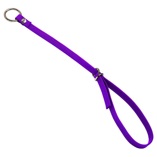 Booma Safety Rein image number null