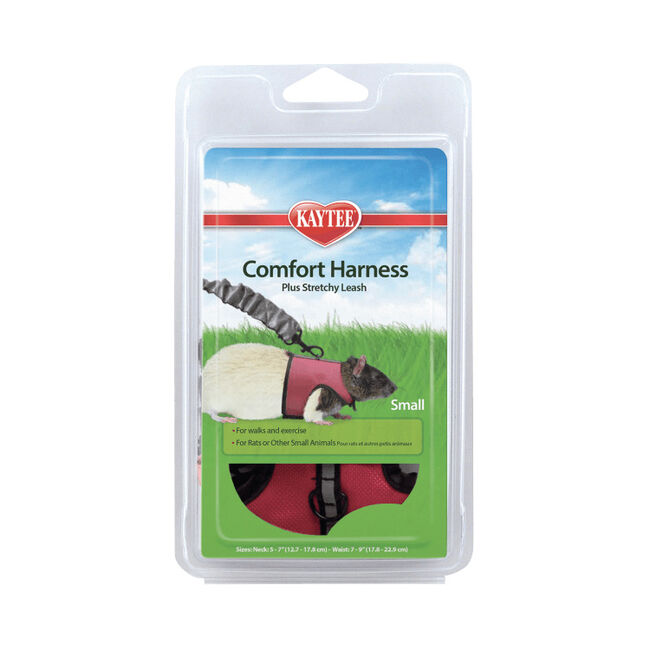 Kaytee Comfort Harness & Stretchy Leash image number null