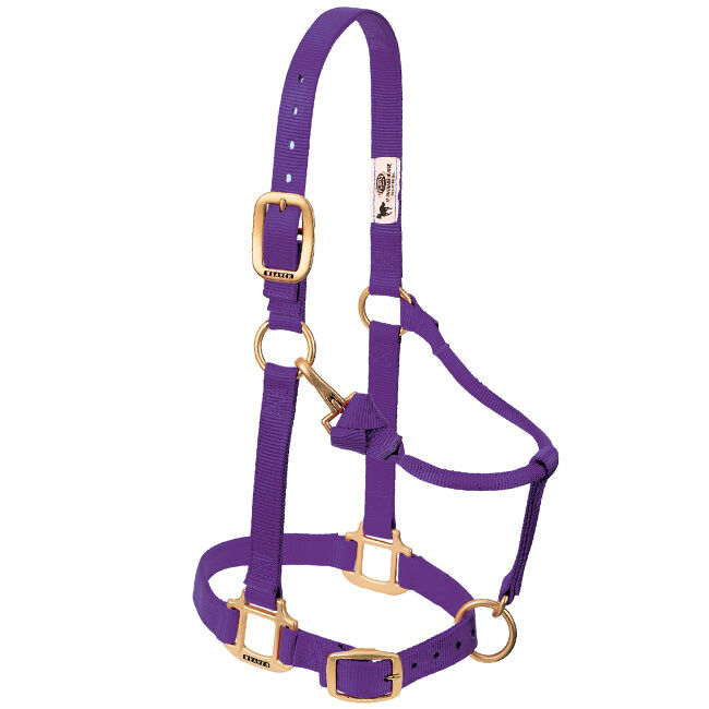 Weaver Adjustable Nylon Halter - Purple image number null
