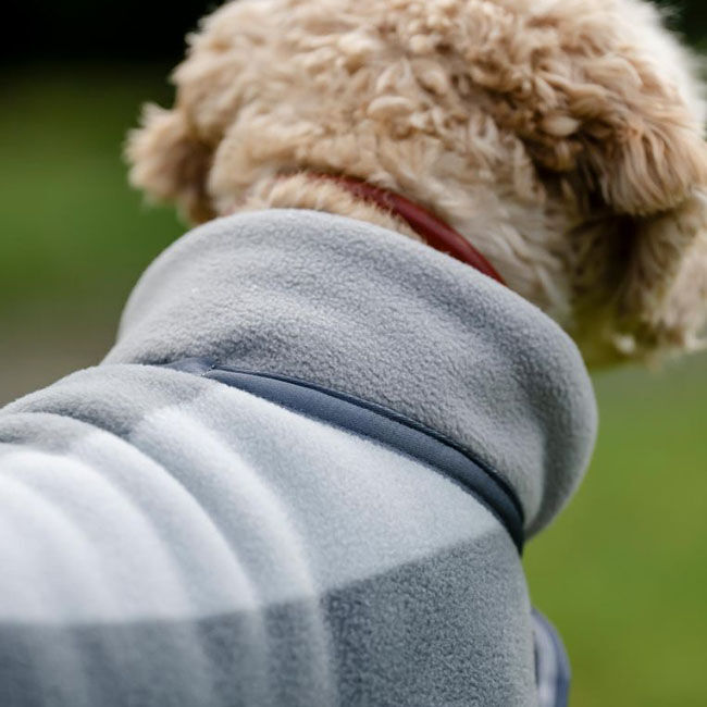 Horseware Newmarket Dog Coat - Witney Charcoal image number null