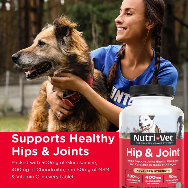 Nutri-Vet Advanced Strength Hip & Joint Chewables for Dogs image number null