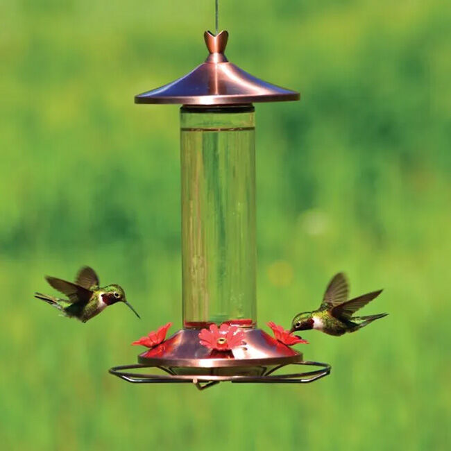Perky-Pet Elegant Copper Glass Hummingbird Feeder image number null