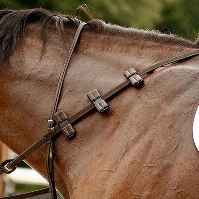 Correct Connect Aaron Vale Rein with 3 Padded Hand Grips image number null