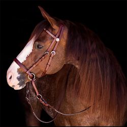 Dr. Cook Bitless Bridle Deluxe Beta Headstall