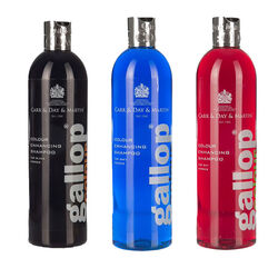 Carr & Day & Martin Gallop Color Enhancing Shampoo