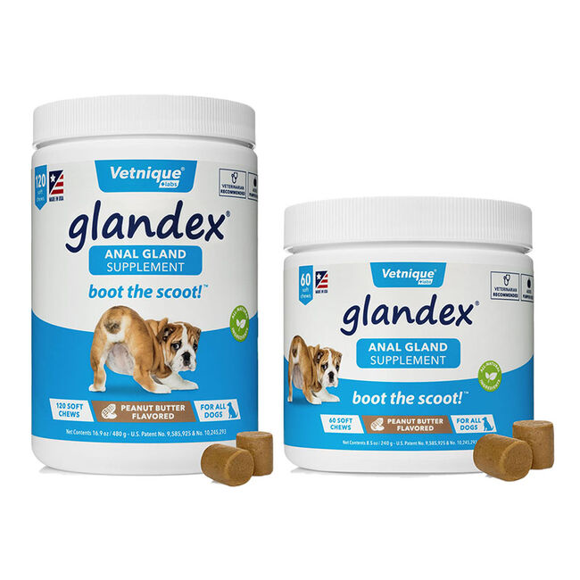 Glandex Anal Gland Soft Chew Treats with Pumpkin for Dogs Chews with  Digestive Enzymes, Probiotics Fiber Supplement for Dogs – Vet Recommended -  Boot The Scoot (30ct Chew) 