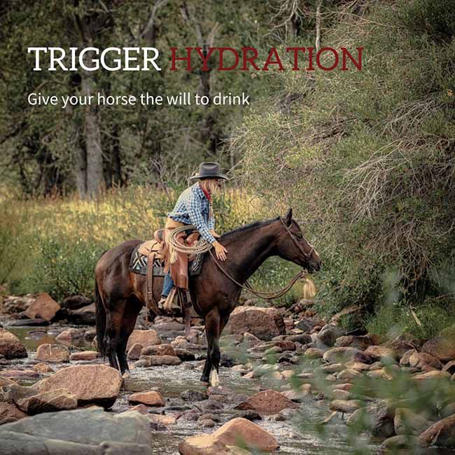 Redmond Equine Electrolyte Paste - 40 cc Syringe image number null