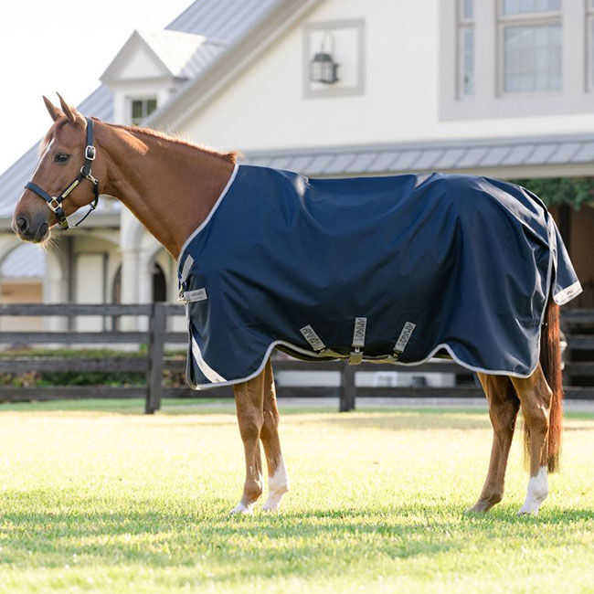 Horseware Amigo 1200D Turnout Blanket (250g) - Navy/Titanium Grey/Silver image number null