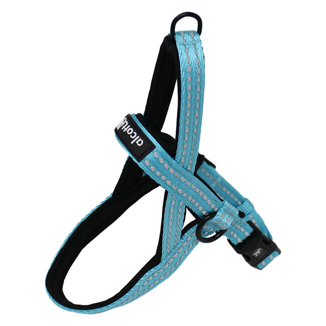 Alcott Norwegian Harness image number null