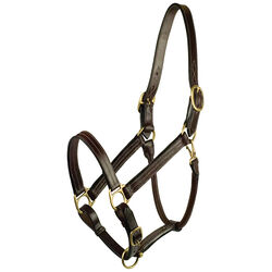 Gatsby Premium Adjustable Triple Stitched Leather Halter