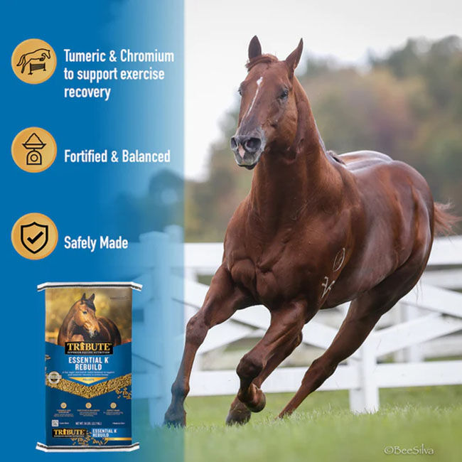 Tribute Essential K® Rebuild Performance Horse Ration Balancer 50 lb