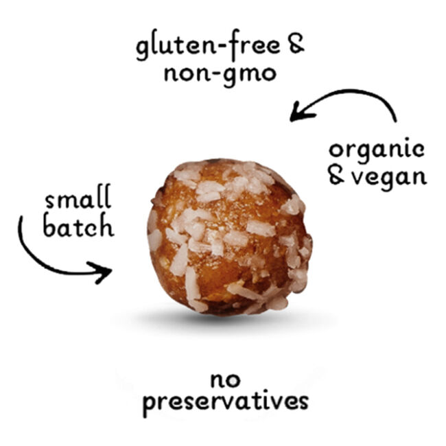 Lord Jameson Savory Sweet Organic Dog Treats image number null