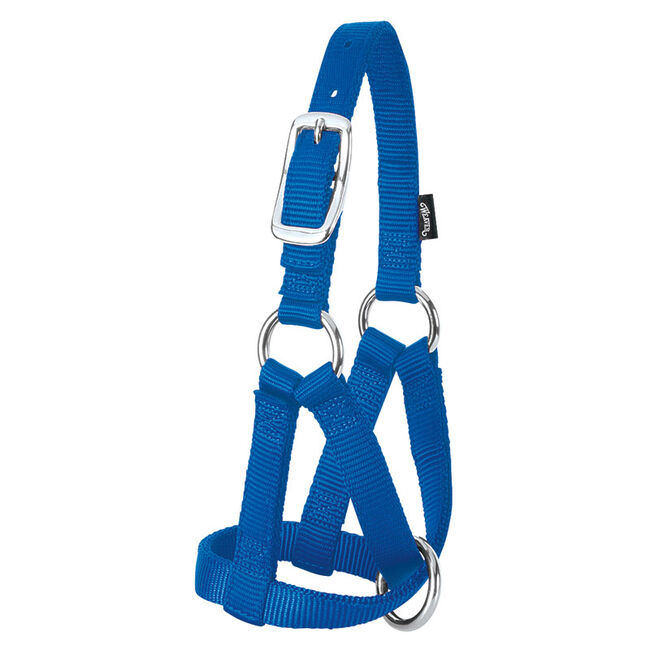 Weaver Livestock Nylon Goat Halter image number null