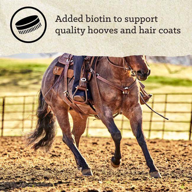 Nutrena Triumph Complete Horse Feed - 50 lb image number null