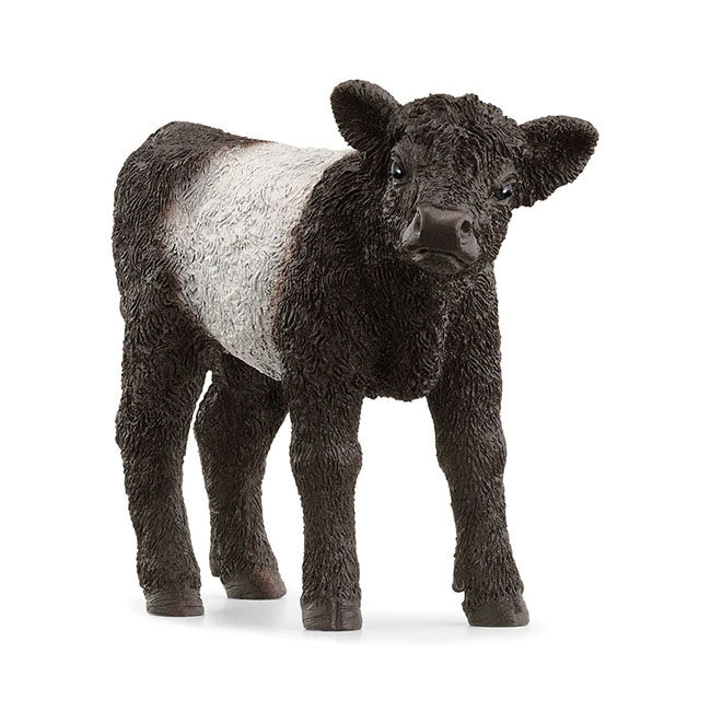 Schleich Galloway Calf image number null