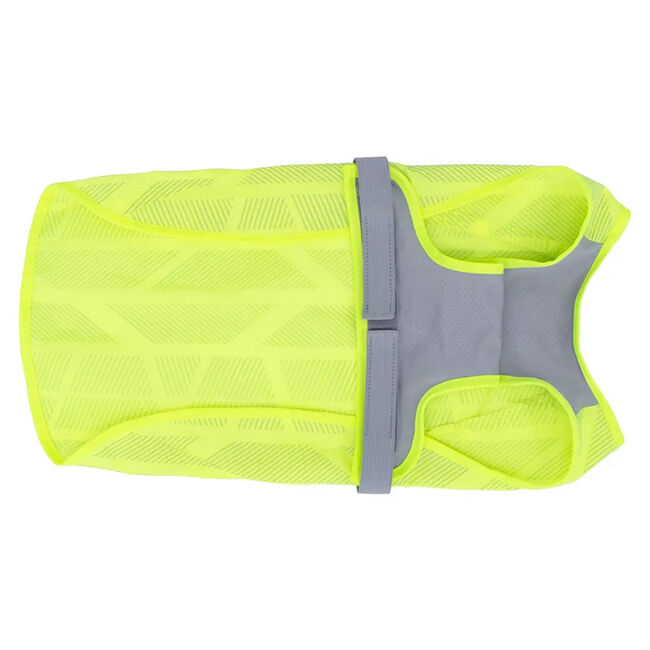 RC Pets Luna High Vis Vest for Dogs image number null