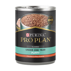 Purina Pro Plan Development Puppy Chicken & Rice Entree Wet Dog Food - 13 oz Can