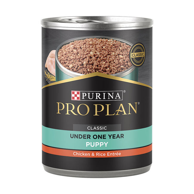Purina Pro Plan Development Puppy Chicken & Rice Entree Wet Dog Food - 13 oz Can image number null