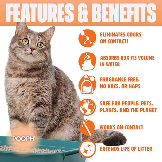 8113905-1.jpg image number null