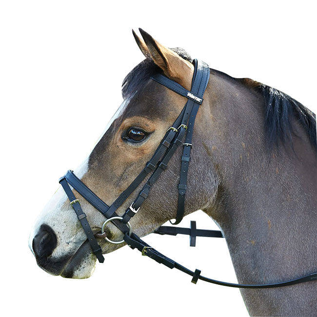 Wintec Synthetic Bridle with Flash Noseband image number null
