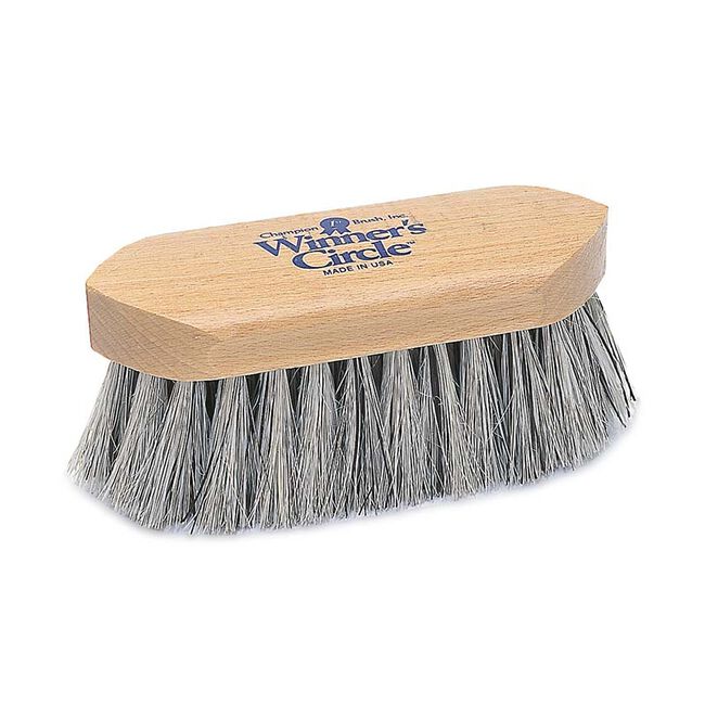 Champion 6-1/4" Dandy Brush with Grey English Fiber image number null