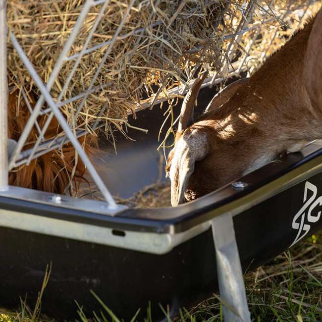 Behlen Country Foreman Pro All-in-One Feed Station image number null