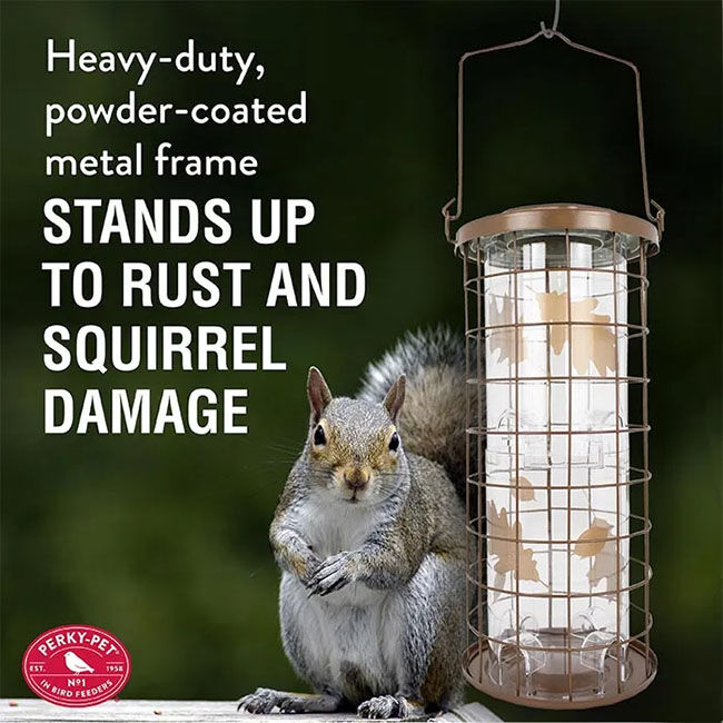 Perky-Pet Squirrel Stumper Wild Bird Feeder - Brass image number null
