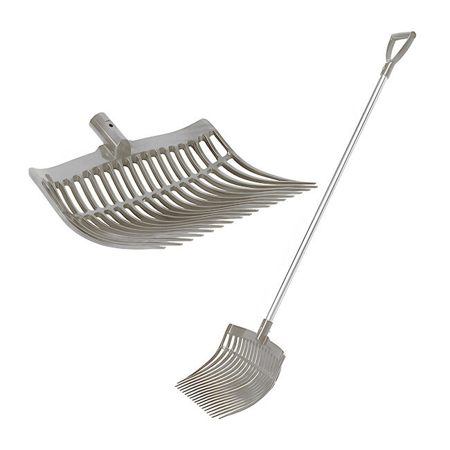 Forever Fork image number null