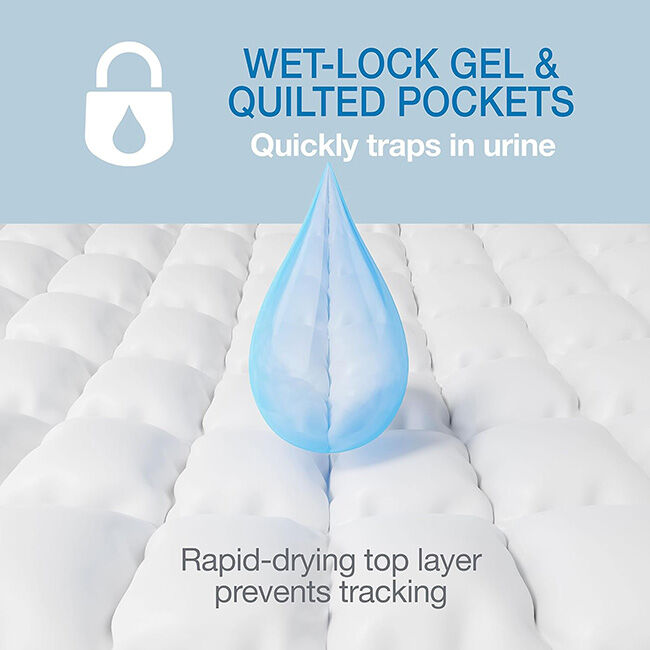 Four Paws Wee-Wee Superior Performance Dog Pee Pads image number null