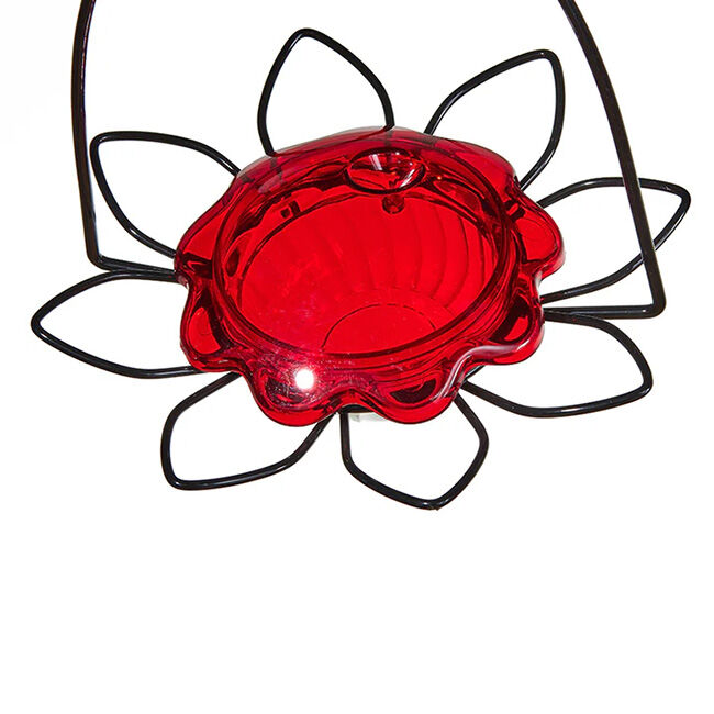 Birds Choice Hummingbird Feeder Flower for Nectar image number null