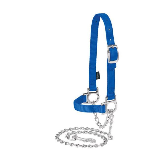 Nylon Adjustable Sheep Halter with Chain Lead Black image number null
